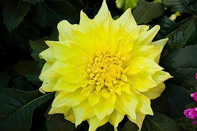 《伊苏10》发布角色介绍影片Part1：主角团介绍